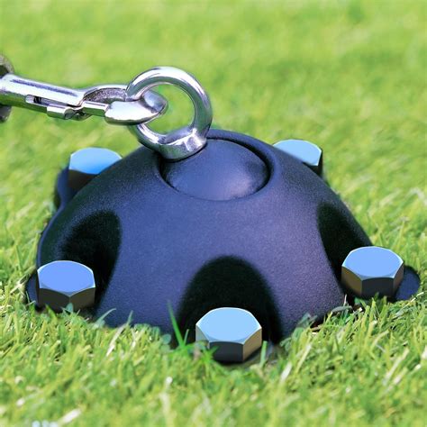 boss pet prestige dome stake|Prestige 21in Dome Stake .